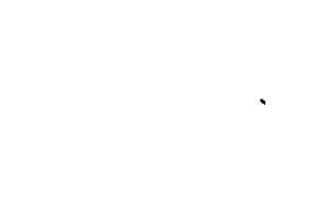 VGM